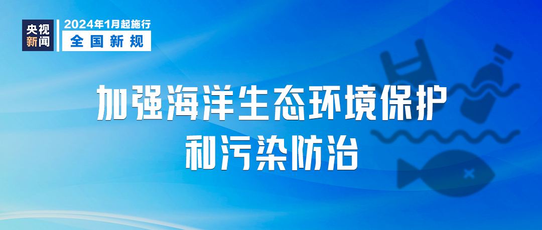 新澳2024-2025年精准正版资料全面释义与落实详解