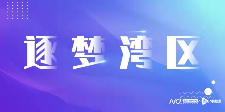 2025新澳门和香港正版免费资本车,全面释义、解释与落实