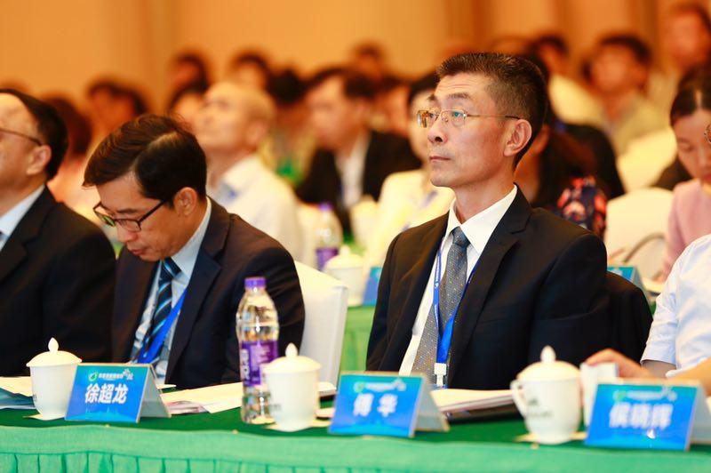 2025年澳门精准免费大全:精选解释解析落实|最佳精选